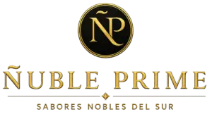 nuble_prime_logo_completo