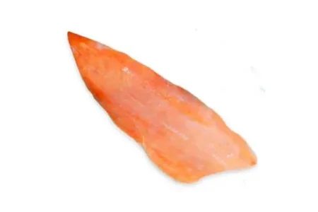 Filete Salmón